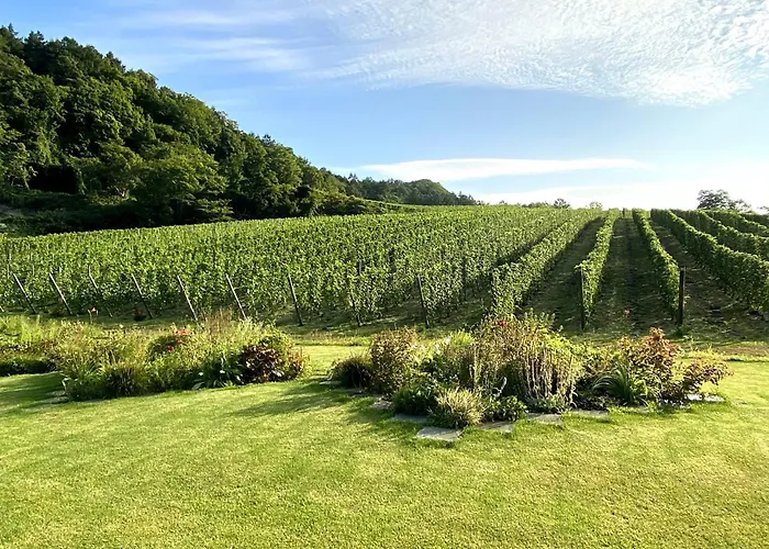 Domaine Bless
