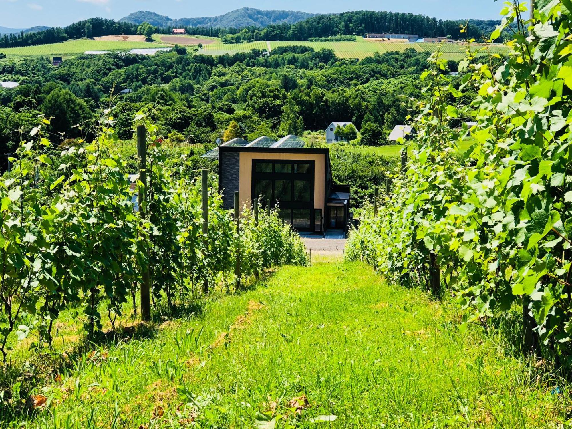 Domaine Bless Yoichi